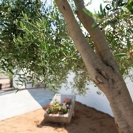 Le Casette Di Alice בית נופש *